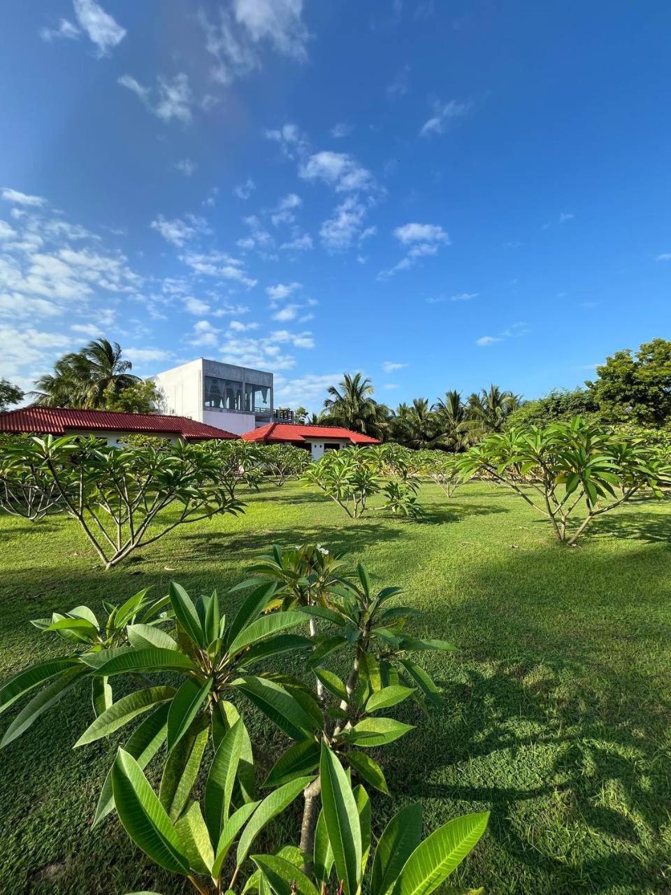 נילבלי Nn Beach Resort & Spa מראה חיצוני תמונה